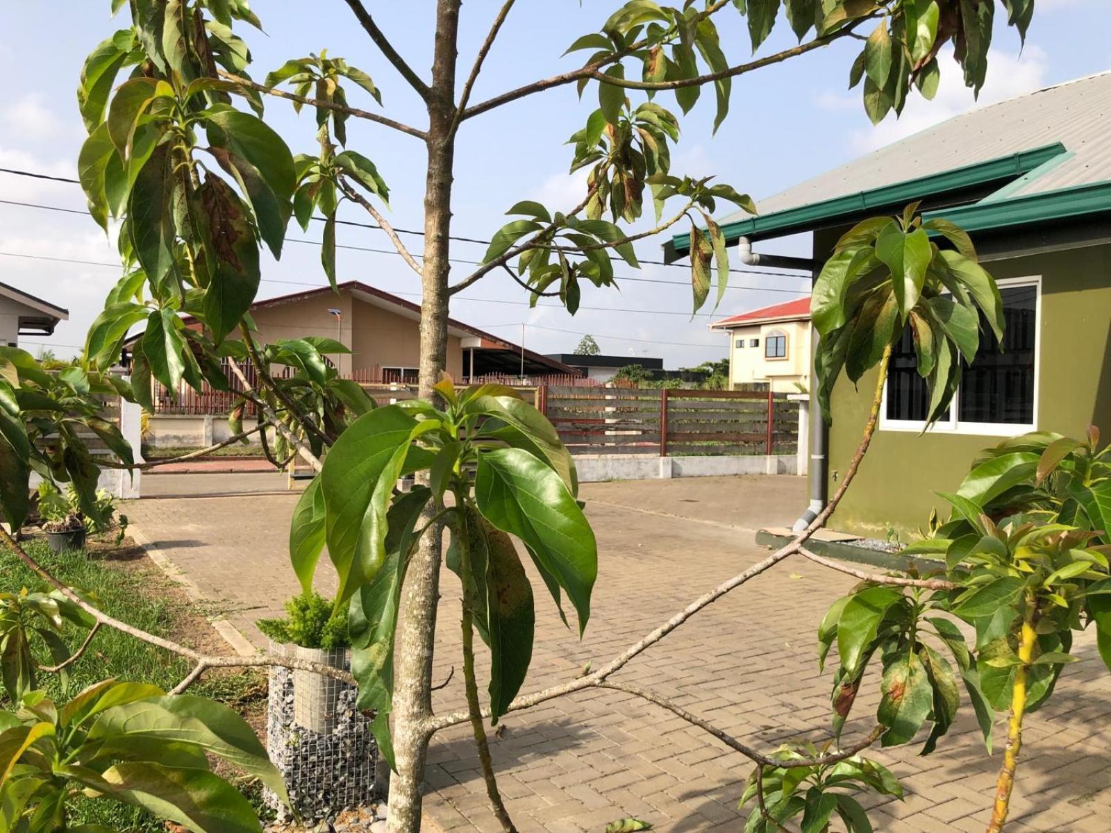 Apartament Grapefruitstraat Paramaribo Zewnętrze zdjęcie